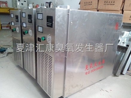四平 遼源 通化食品廠(chǎng)臭氧消毒機(jī) 臭氧機(jī)